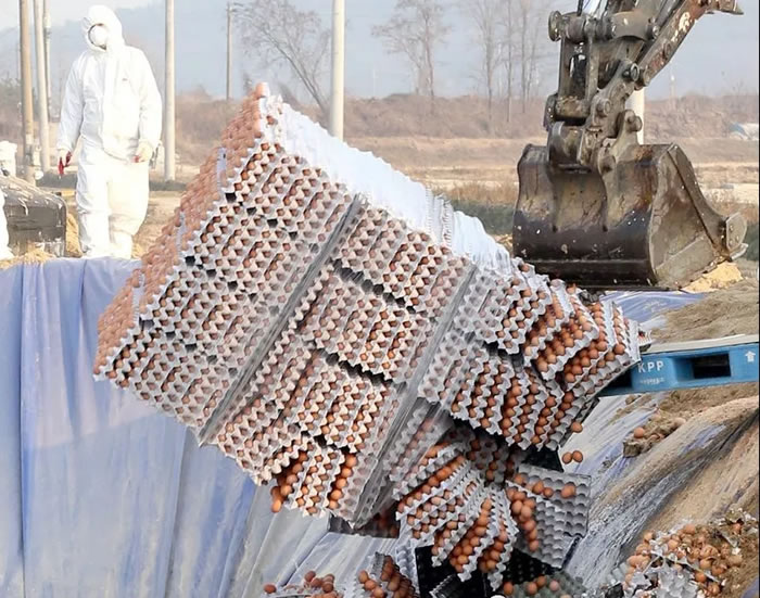 疫情下发现就销毁 疫情下发现就销毁