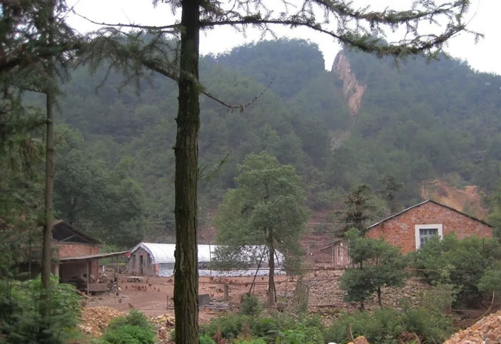 山里的老杨鸡场 山里的老杨鸡场