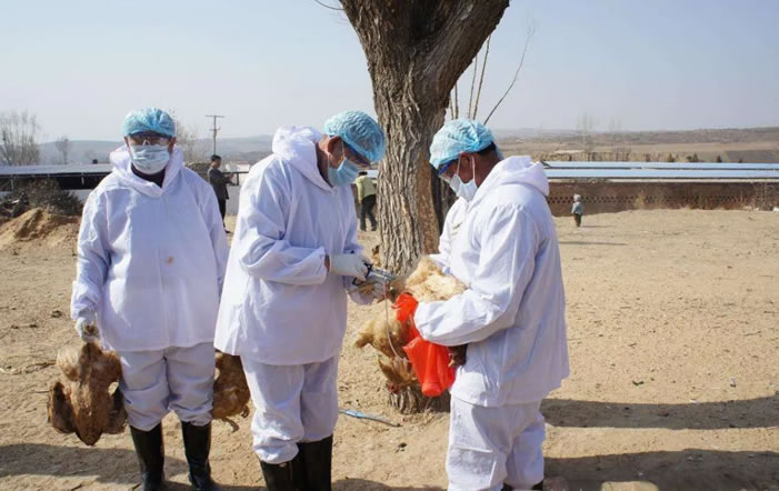 配合相关部门做疫情检测 配合相关部门做疫情检测