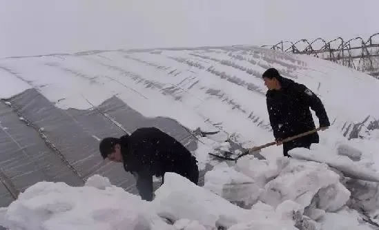 5fd8aacc8279e.jpg 01.jpg