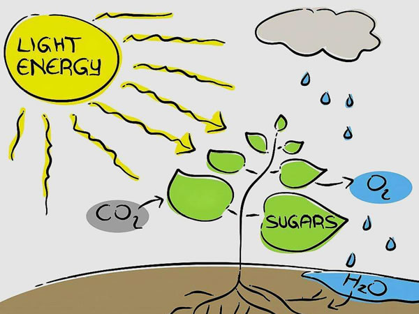 5fdac6c84e163.jpg 0t600.jpg