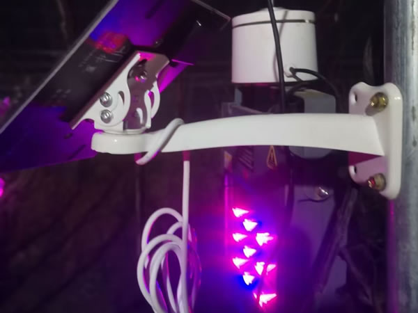 渭南大荔冬枣用户植物补光灯效果