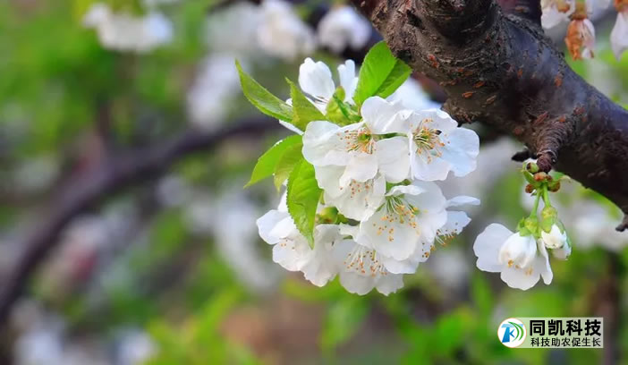 5fe2b353b1ef8.jpg 04.jpg