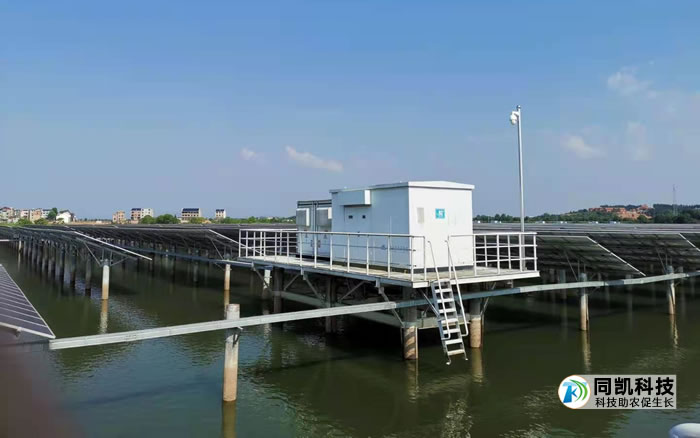 湖云乡中节能万年渔光电站 湖云乡中节能万年渔光电站