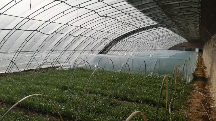 5fe883e5222ec.jpg 01.jpg