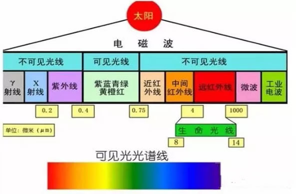 5fe884478c11d.jpg 02.jpg