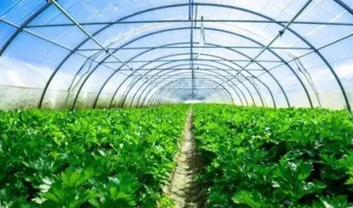 5fe884dd94a4b.jpg 01.jpg