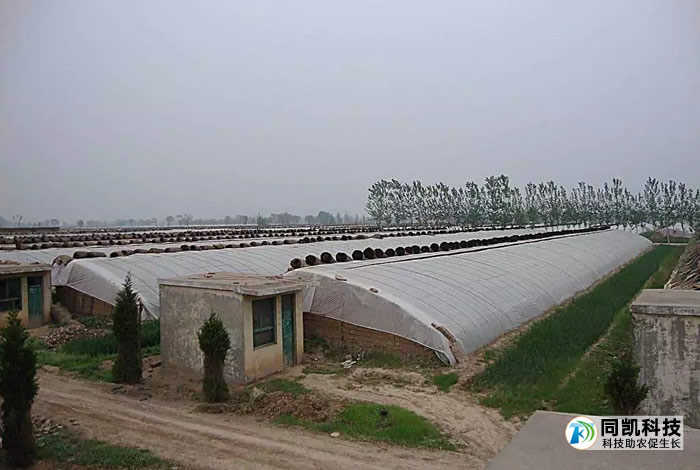 5fe8868a10edf.jpg 06.jpg