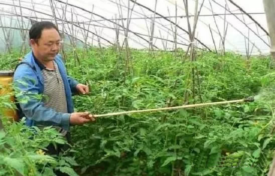 5fe8878fa8de8.jpg 600.jpg