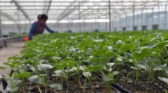 5fe88a7a28470.jpg 01.jpg