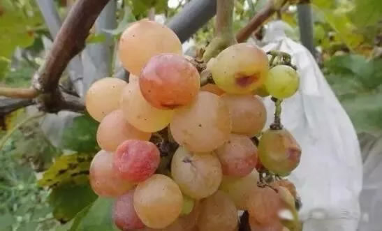 5fea9d43a1ad1.jpg 02.jpg