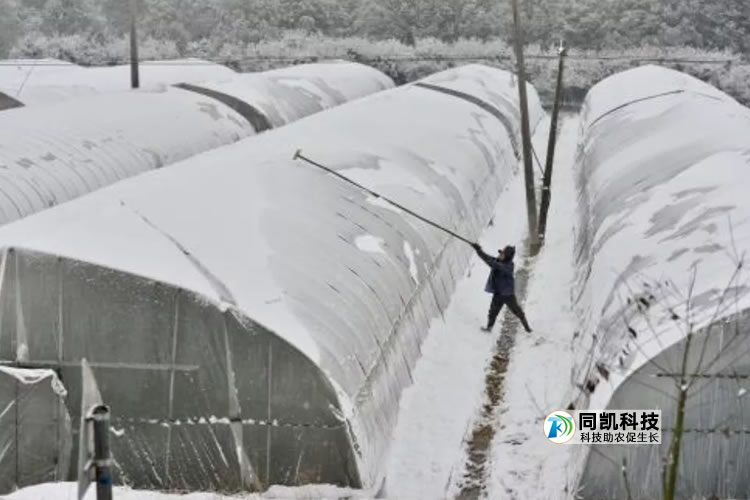 5feb2b625eaf5.jpg 01.jpg