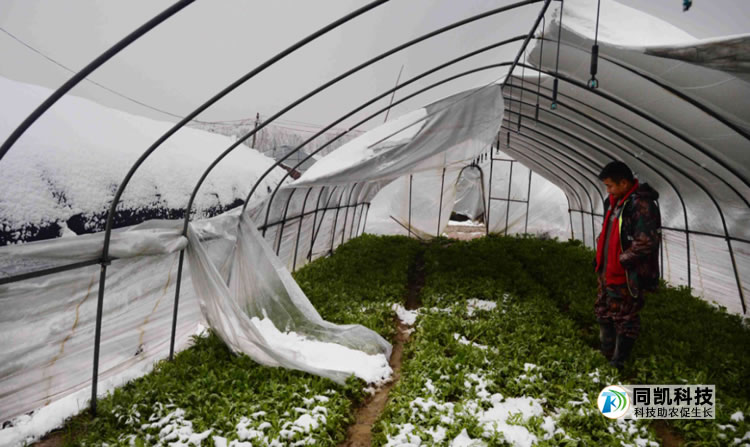 5feb2b6956d99.jpg 02.jpg