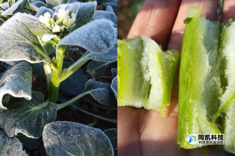 5feb2b81a8821.jpg 05.jpg