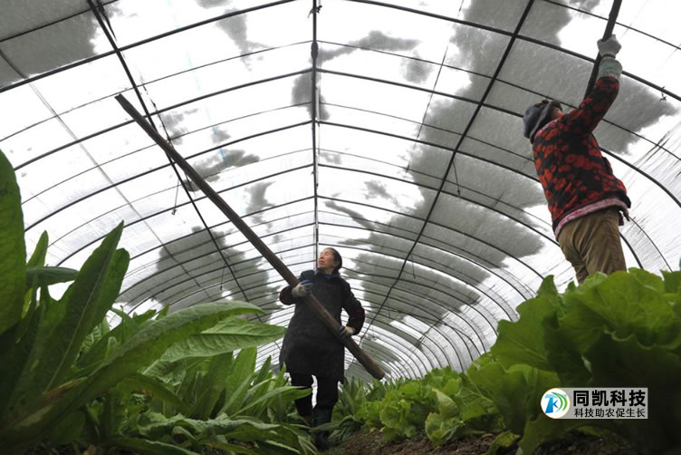 5feb2b9fef055.jpg 07.jpg