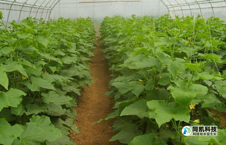 5feb2baa03369.jpg 08.jpg