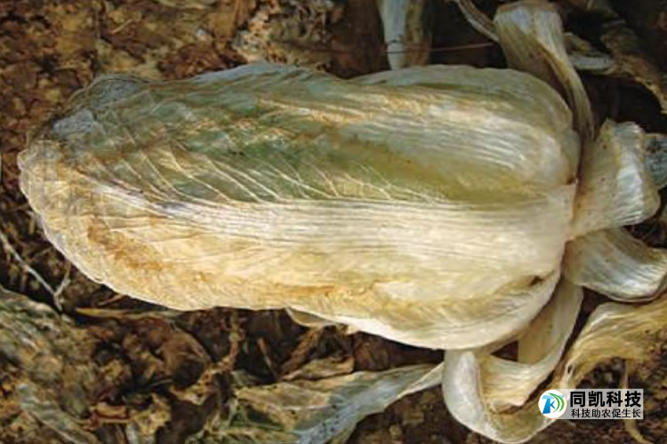 5feb2bb34e9e1.jpg 09.jpg