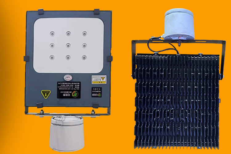 5fec31a4cd86e.jpg C10202.jpg