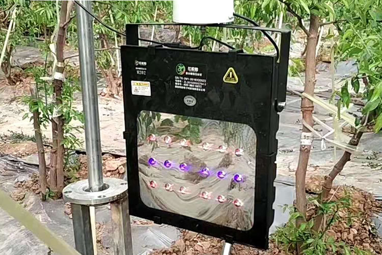 5ff3c7f7c8f3f.jpg 002.jpg