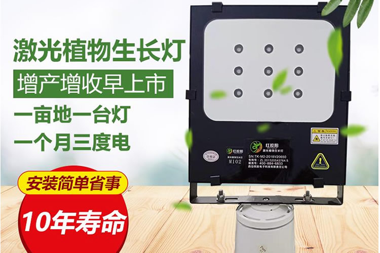 5ff3d3268e404.jpg 00002.jpg