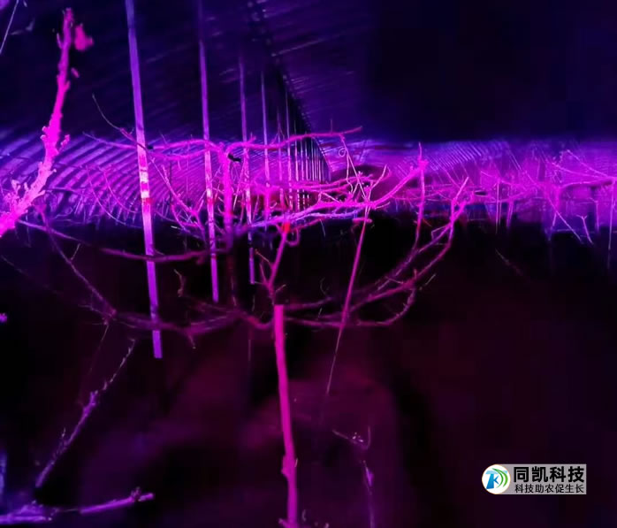 5ff3d338cd836.jpg 06.jpg