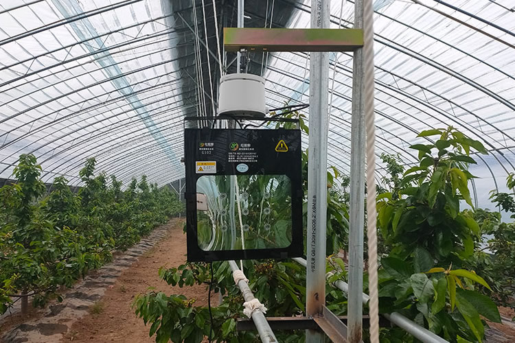 5ff40d1a6718d.jpg 0004.jpg