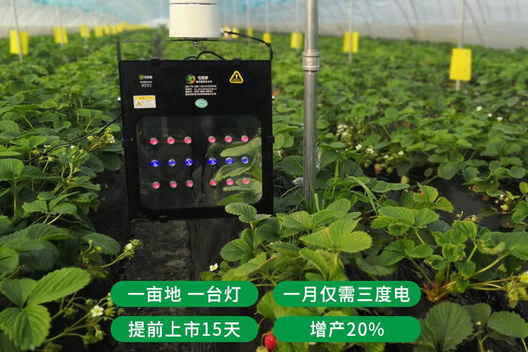 5ff40e85a92ce.jpg 0003.jpg