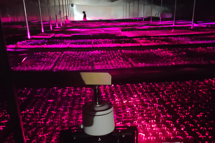 5ff40ee1e71a4.jpg 01.jpg