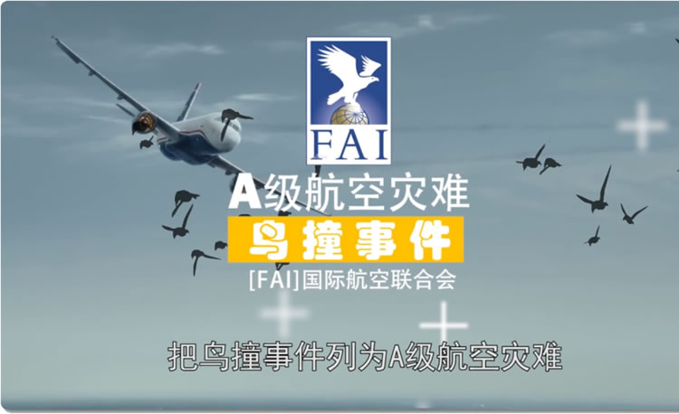 5ff46aef280ad.jpg 01.jpg