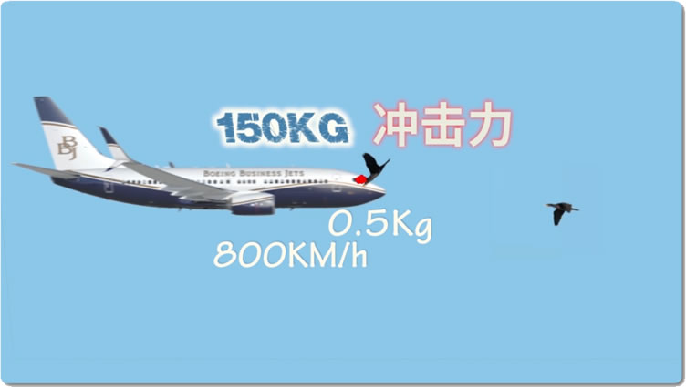 5ff46af535b64.jpg 02.jpg