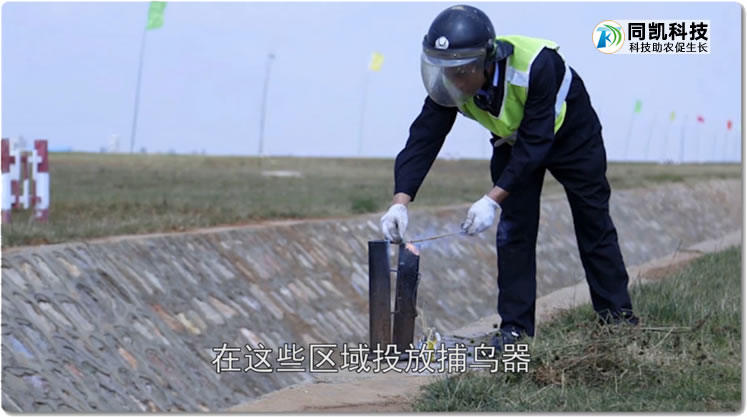 5ff46b55c81d0.jpg 05.jpg