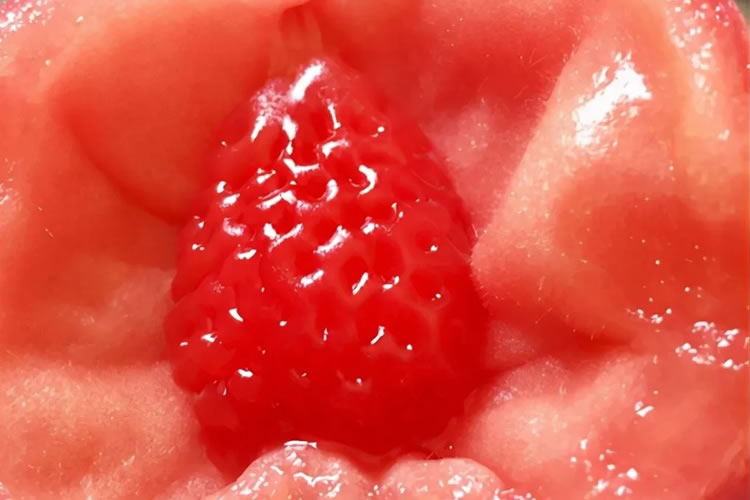 5ff54de476553.jpg 01.jpg