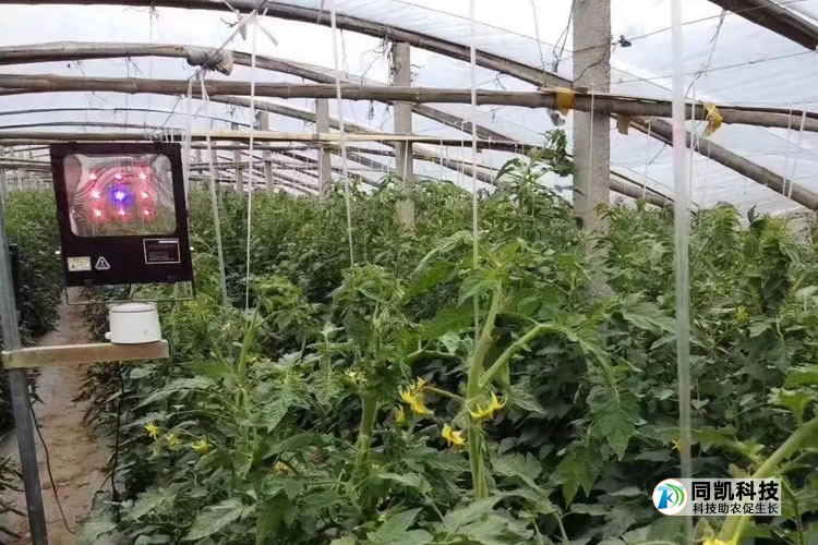 5ff54e0de809a.jpg 02.jpg