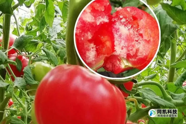 5ff54e208063c.jpg 00002.jpg