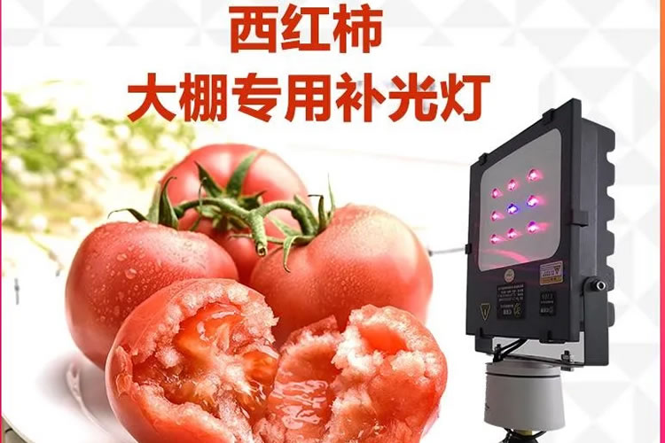 5ff54eb8d097c.jpg 0002.jpg