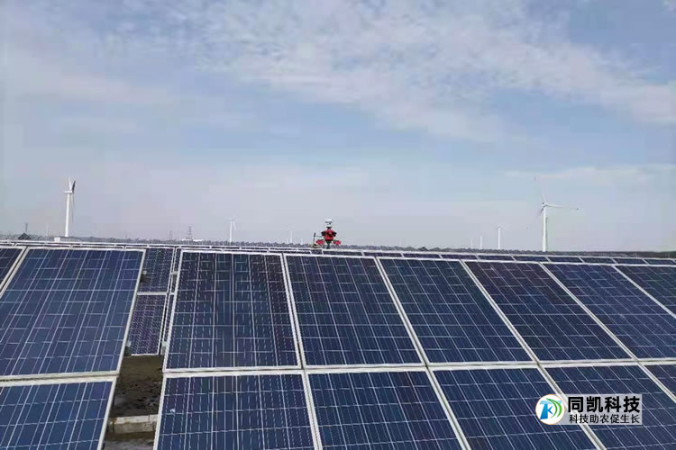 5ff67a913d974.jpg 03.jpg