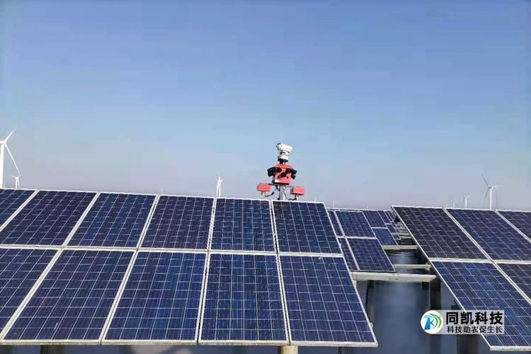 5ff67a9a74ed1.jpg 05.jpg