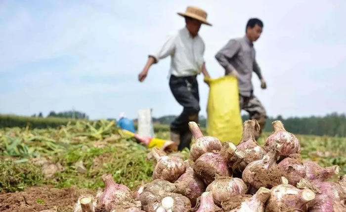 5ff6a9f28d02e.jpg 03.jpg