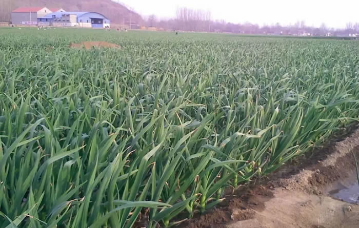 5ff6a9fca12a6.jpg 04.jpg