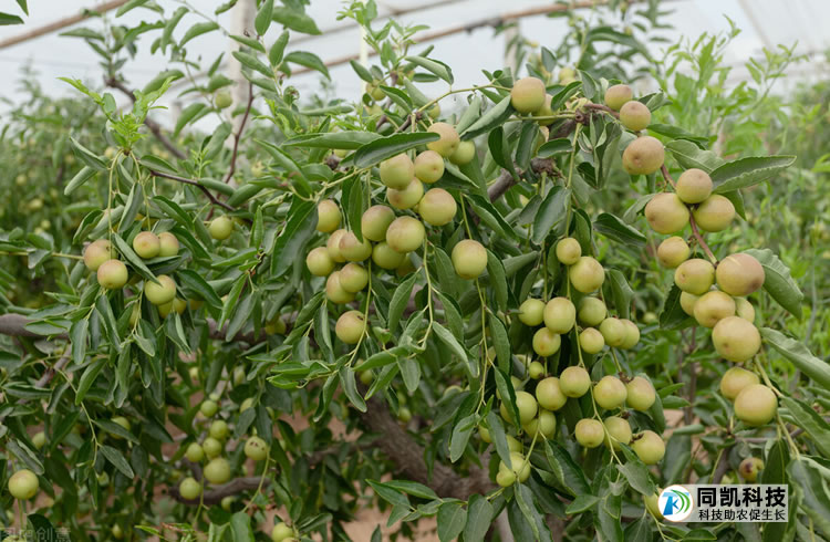 5ff6b272ebd14.jpg 01.jpg