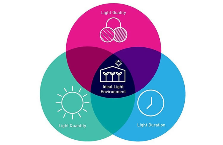 5ff7063172c87.jpg 01.jpg