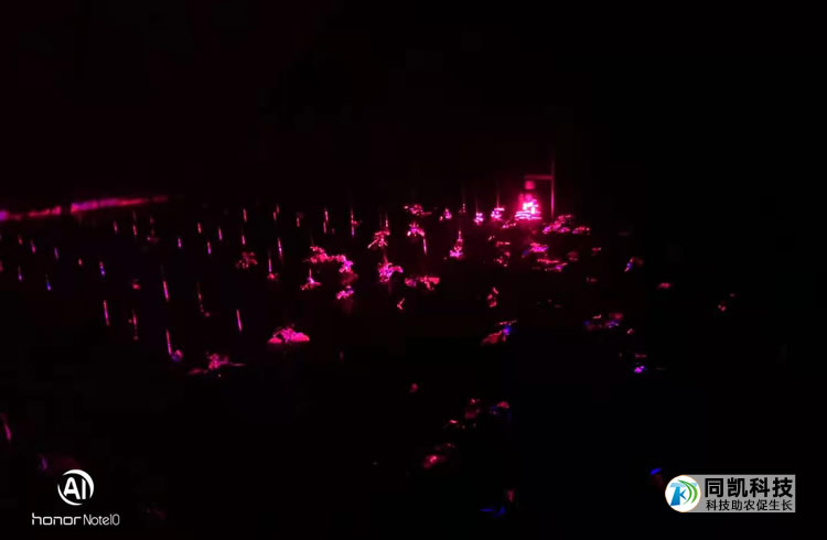 5ff7d37fab778.jpg 01.jpg