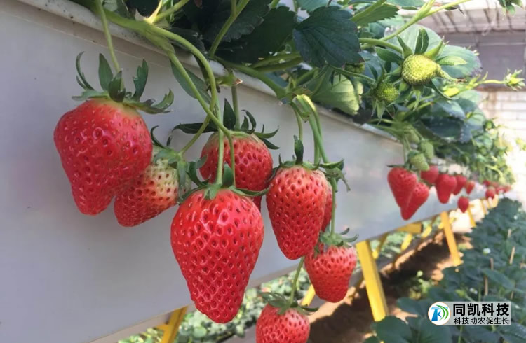 è¿èèä¸ªå¤§ï¼é¢è²å¥½