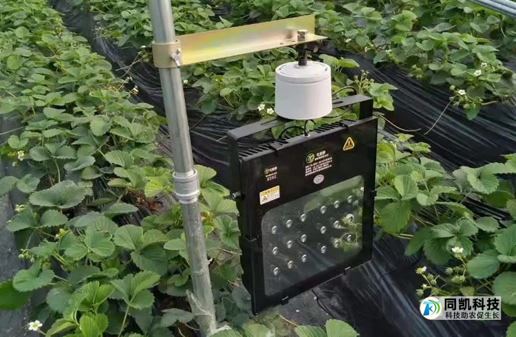 èèä¸ç¨çè¡¥åå©å¨