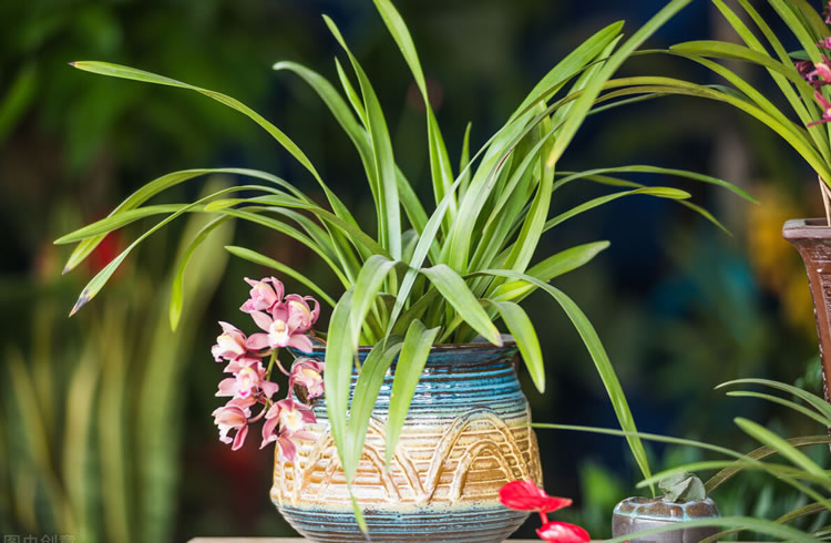 5ffbdd3256895.jpg 01.jpg