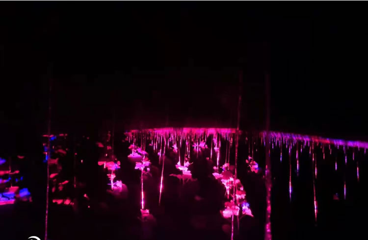 6000fac177ec1.jpg 03.jpg