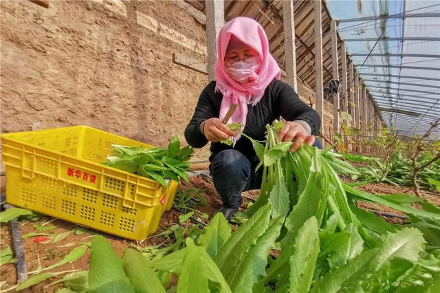 60067c23b2b68.jpg 01.jpg