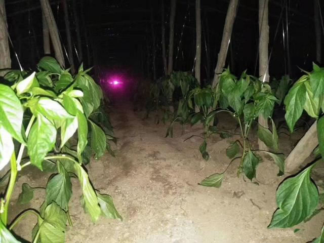 60067c3a2214a.jpg 03.jpg