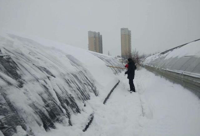 60067c42ac005.jpg 04.jpg