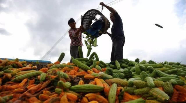 60067c4ad4af9.jpg 05.jpg